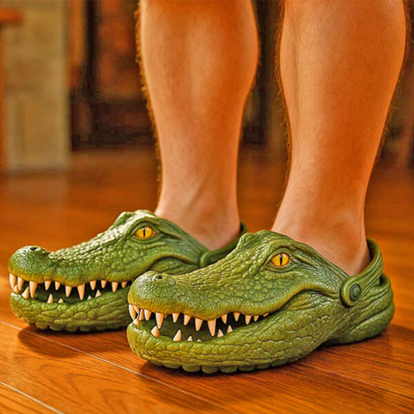 006e93ae242daba431484b94dd0e8d7a.jpeg Funny Croc Slippers