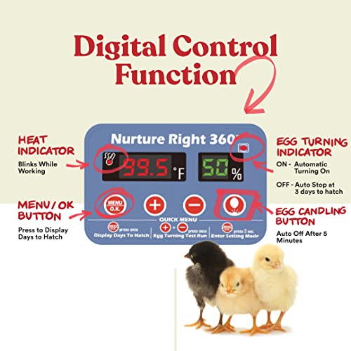 016AE6F1-57F2-0C08-33C6-82814DDA5D99.jpg Harris Farms Nurture Right Egg Incubator for Hatching Chicks - Holds 22 Eggs