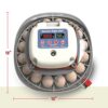 Harris Farms Nurture Right Egg Incubator for Hatching Chicks – Holds 22 Eggs