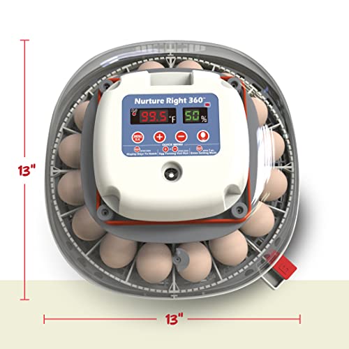 25b3cfee7839426cb0c6839ec5ded7d8 Harris Farms Nurture Right Egg Incubator for Hatching Chicks – Holds 22 Eggs