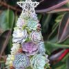Handmade Surprise Christmas gift🎄Succulent Christmas Tree