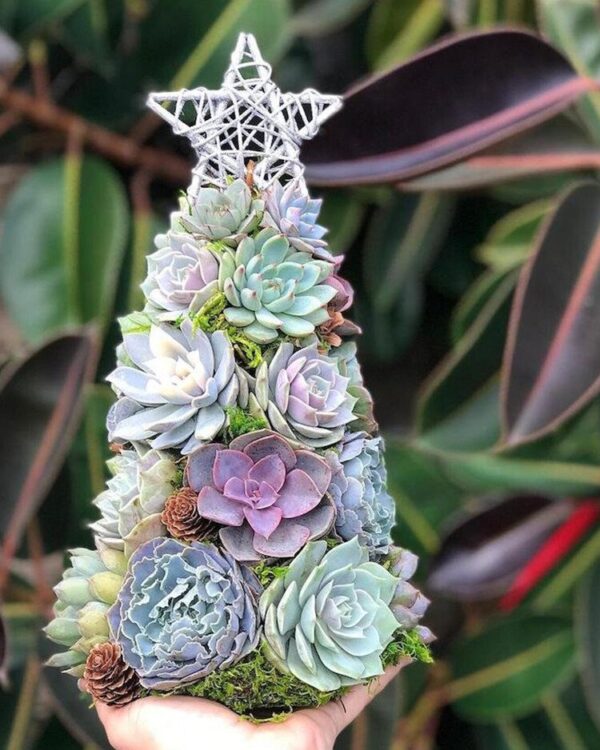 2acdf70cd272c44d14f86241ea09e6d3.jpg Handmade Surprise Christmas gift🎄Succulent Christmas Tree