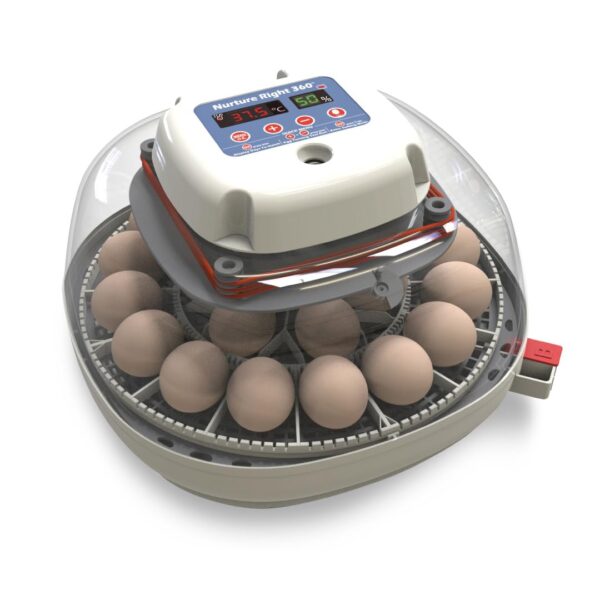 3721E4BA-1A59-F8E5-78E1-6EA64BA3FF73.jpg Harris Farms Nurture Right Egg Incubator for Hatching Chicks - Holds 22 Eggs