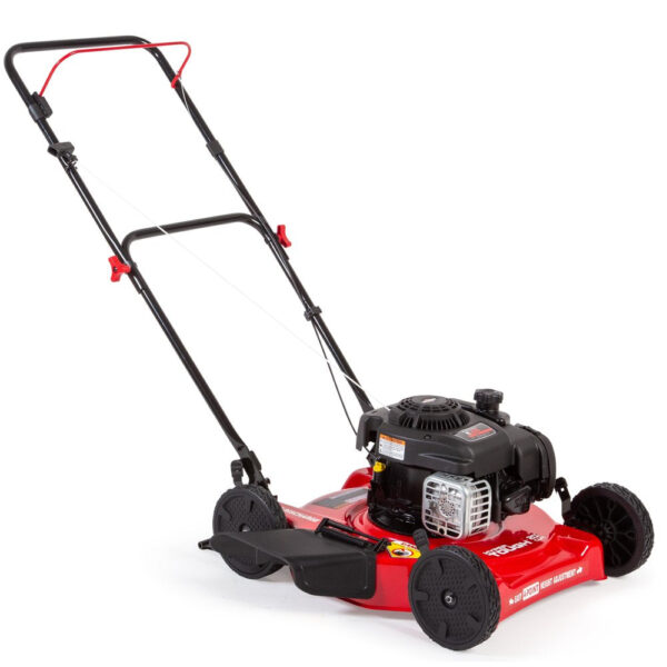 3E23BA37-2778-983F-6DA3-F69437C11534.jpg 20-Inch 125Cc Gas Push Mower with Briggs & Stratton Engine