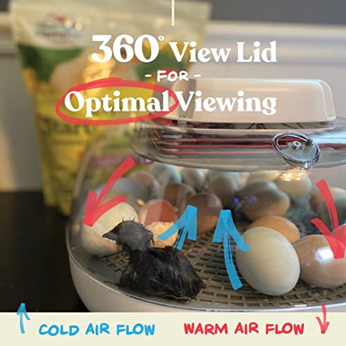 447cee64702c4628b0fc1e2e548db19f Harris Farms Nurture Right Egg Incubator for Hatching Chicks – Holds 22 Eggs