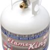 Pound Steel Propane Tank Cylinder with OPD Valve and Built-in Gauge. 20 lb Vertical-Flame King