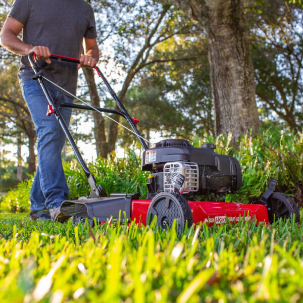 466B457E-F80B-2C6A-4C68-D44D49AB3C7F.jpg 20-Inch 125Cc Gas Push Mower with Briggs & Stratton Engine