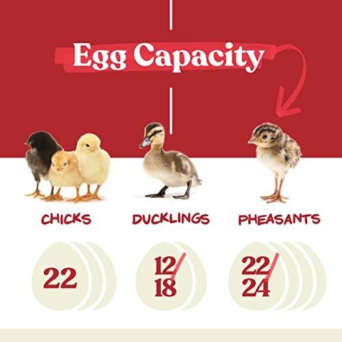 4D791EC1-F73E-A7CE-9FFB-564AB973DBCF.jpg Harris Farms Nurture Right Egg Incubator for Hatching Chicks - Holds 22 Eggs
