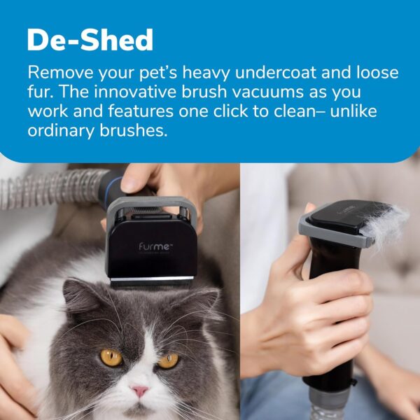 4E6AA59E-54E7-382F-2FDC-A6659AA12CA6.jpg Professional Plus Pet Grooming Vacuum Kit. 5 Pet Grooming Tools. 2L Canister. Works for All Dogs. Cats. and Pet Fur
