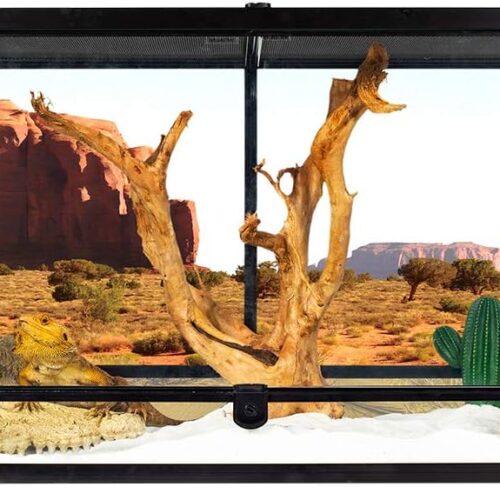 50 Gallon Reptile Glass Terrarium Tank Double Hinge Door with Screen Ventilation Large Reptile Terrarium 36" x 18" x 18"(Knock-Down)