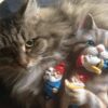 Cat Eating Gnomes Statue