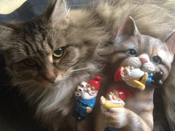 768dac2f202d3114c98d1432967a035d.jpg Cat Eating Gnomes Statue