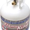 Pound Steel Propane Tank Cylinder with OPD Valve and Built-in Gauge. 20 lb Vertical-Flame King