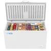 KoolMore 60 in. Commercial Chest Freezer 16 Cu ft.