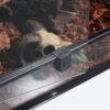 50 Gallon Reptile Glass Terrarium Tank Double Hinge Door with Screen Ventilation Large Reptile Terrarium 36" x 18" x 18"(Knock-Down)