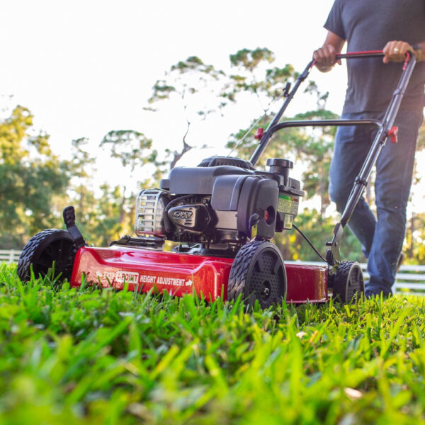 E5FC9B95-E105-2CF2-BCFA-636A428D7F24.jpg 20-Inch 125Cc Gas Push Mower with Briggs & Stratton Engine