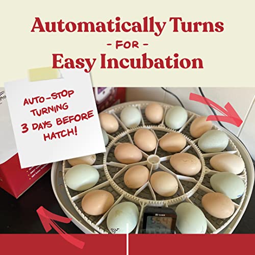 FB1B3862-C3E5-96FF-3B84-B005D7019A3B.jpg Harris Farms Nurture Right Egg Incubator for Hatching Chicks - Holds 22 Eggs