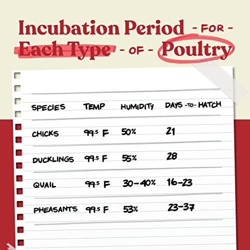 FBDB023D-84E8-5596-5AC1-96D6B7B4FF52.jpg Harris Farms Nurture Right Egg Incubator for Hatching Chicks - Holds 22 Eggs