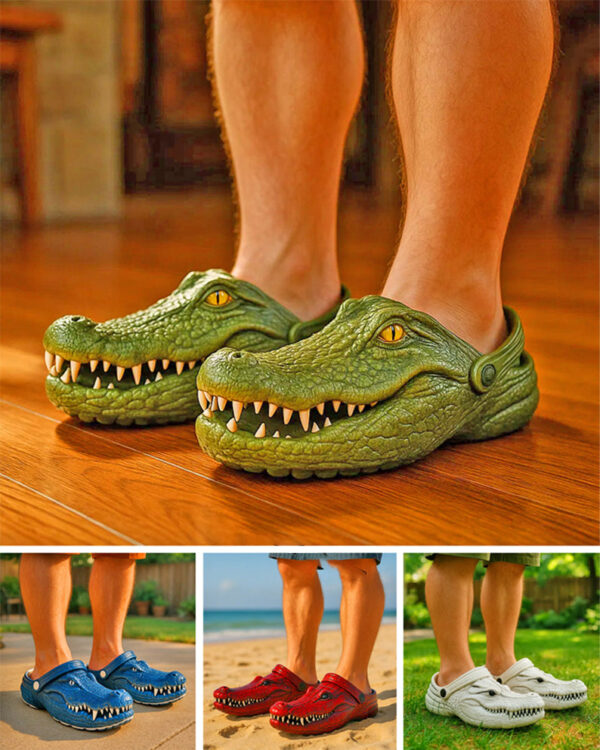 b349188a38194e21603ecd45b2daa521.jpeg Funny Croc Slippers