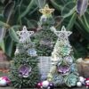 Handmade Surprise Christmas gift🎄Succulent Christmas Tree