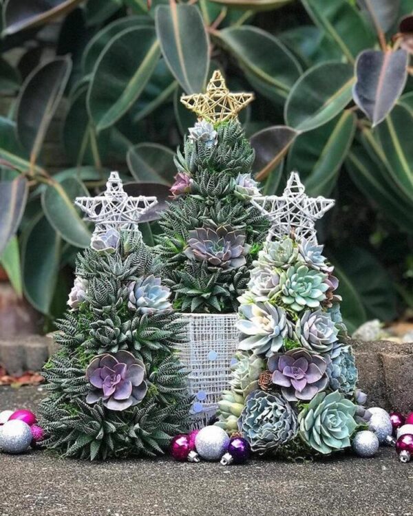 c3e35084a1ddaf1c45ff1b3db24c050d.jpg Handmade Surprise Christmas gift🎄Succulent Christmas Tree